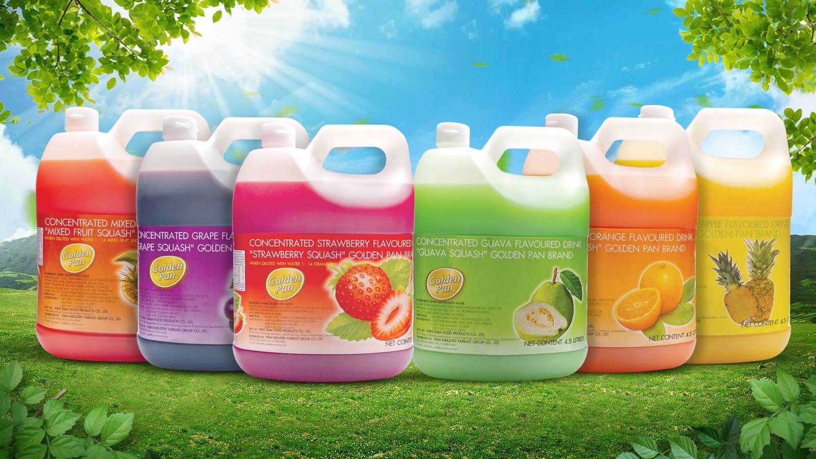 Concentrated syrup range